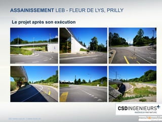 29 | www.csd.ch | www.mum.ch
ASSAINISSEMENT LEB - FLEUR DE LYS, PRILLY
Le projet après son exécution
 