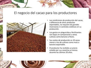 • Las condiciones de producción del cacao,
a diferencia de otros productos
exportables, no requiere de grandes
inversiones ni controles estéticos en su
producción.
• Los gastos en plaguicidas y fertilizantes
son bajos en comparación a otros
cultivos como banano o flores.
• Sus costos de producción es 10 veces
menor a los de cultivos como maíz o
banano exportable.
• El productor ha recibido un precio
estable por sus cosechas al menos
durante los últimos 20 años.
El negocio del cacao para los productores
 