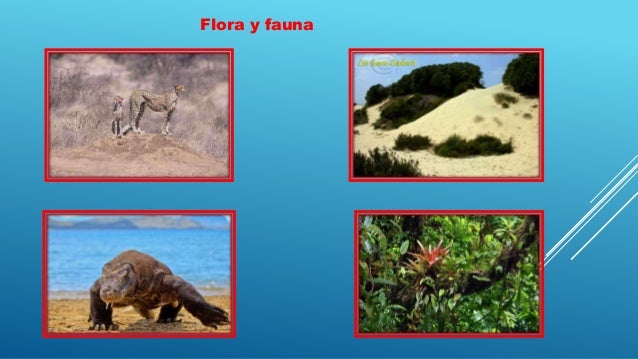 Diaspositivas de argelia exposicion