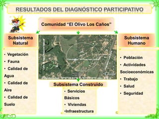Comunidad “El Olivo Los Caños”
Subsistema Construido
Subsistema
Natural
Subsistema
Humano
• Vegetación
• Fauna
• Calidad de
Agua
• Calidad de
Aire
• Calidad de
Suelo
• Población
• Actividades
Socioeconómicas
• Trabajo
• Salud
• Seguridad
• Servicios
Básicos
• Viviendas
•Infraestructura
 