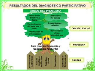 ÁRBOL DEL PROBLEMA
Deforestación
y Caza
indiscriminada
Destrucción
de la flora y
fauna
Contaminación
del agua, aire y
suelo
Destrucción
del paisaje
Contaminación
del caño
Proliferación de
enfermedades
CONSECUENCIAS
Bajo Nivel de Educación y
Conciencia Ambiental
PocoGestores
Ambientales
Faltade
estrateg¡as
Ambientales
Perdidade
valores
Consumismo
MalHábitode
Conservación
PROBLEMA
CAUSAS
 