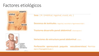 Factores etiológicos
Sexo ( H. Umbilical, inguinal, crural, etc. )
Descenso de testículos ( inguinal, escrotal e inguinoescrotal )
Trastorno desarrollo pared abdominal ( Gastroquisis )
Variaciones de estructura pared abdominal ( Edad )
Perforación aponeurosis paquete vasculonervioso( Hernias
epi e hipogástricas )
 