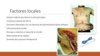 Factores locales
Incluyen todo lo que abarca el area quirurgica:
Incisiones mayores de 18 cm
Incisiones efectuadas con uso excesivo de electrocauterio (altos voltajes)
Infecciones de la herida
Drenajes u ostomias a traves de la incision
Mala calidad de los tejidos
Aumento de la presion intrabominal
 