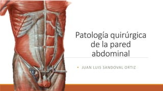 Patología quirúrgica
de la pared
abdominal
• JUAN LUIS SANDOVAL ORTIZ
 
