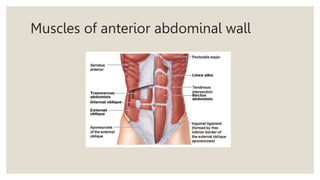 Diastasis recti.pptx
