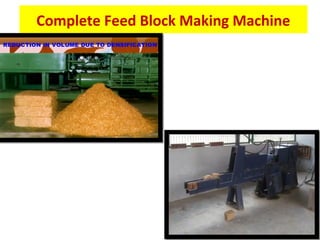 Complete Feed Block Making Machine
 