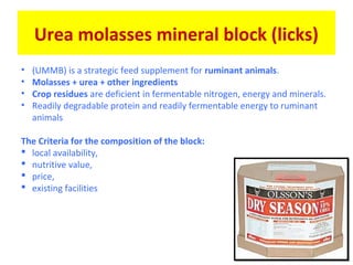 Urea molasses mineral block (licks)
• (UMMB) is a strategic feed supplement for ruminant animals.
• Molasses + urea + other ingredients
• Crop residues are deficient in fermentable nitrogen, energy and minerals.
• Readily degradable protein and readily fermentable energy to ruminant
animals
The Criteria for the composition of the block:
 local availability,
 nutritive value,
 price,
 existing facilities
 