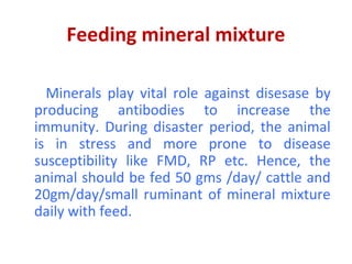 Feeding mineral mixture
Minerals play vital role against disesase by
producing antibodies to increase the
immunity. During disaster period, the animal
is in stress and more prone to disease
susceptibility like FMD, RP etc. Hence, the
animal should be fed 50 gms /day/ cattle and
20gm/day/small ruminant of mineral mixture
daily with feed.
 