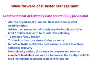 Ways forward of Disaster Management
1.Establishment of Calamity Care Centre (CCC) for Animal
• Alert to department of Animal Husbandry and district
administration.
• Advice the farmers to judiciously use the locally available
feed / fodder resources to counter the calamity.
• To provide feed / fodder
• To alleviate livestock stress during calamity.
• Initiate activities related to post calamity period to restore
complete recovery
• Non calamity period, this centre to prepare and reserve
complete feed blocks as well as to process the locally available
feed ingredients to atleast sustain livestock life.
 