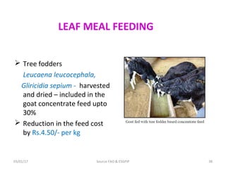 03/01/17 Source FAO & ESGPIP 38
LEAF MEAL FEEDING
 Tree fodders
Leucaena leucocephala,
Gliricidia sepium - harvested
and dried – included in the
goat concentrate feed upto
30%
 Reduction in the feed cost
by Rs.4.50/- per kg
 