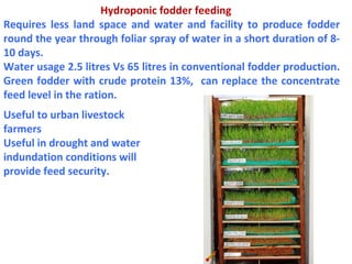 Hydroponic fodder feeding
Requires less land space and water and facility to produce fodder
round the year through foliar spray of water in a short duration of 8-
10 days.
Water usage 2.5 litres Vs 65 litres in conventional fodder production.
Green fodder with crude protein 13%, can replace the concentrate
feed level in the ration.
Useful to urban livestock
farmers
Useful in drought and water
indundation conditions will
provide feed security.
 