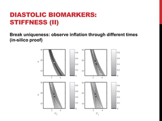 Break uniqueness: observe inflation through different times
(in-silico proof)
DIASTOLIC BIOMARKERS:
STIFFNESS (II)
 