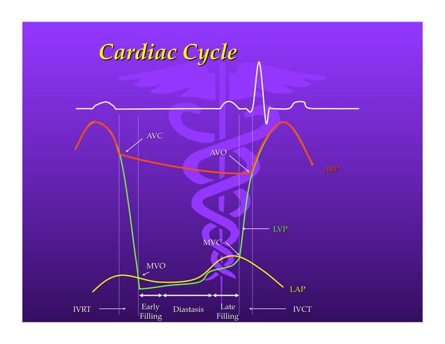 Left Ventricular Diastolic Dysfunction Icd 10 Left Ventricular Diastolic Dysfunction | PPT