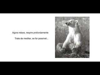 Agora relaxe, respire profundamente  Trate de meditar, se for possível...   