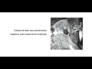 Coloque de lado seus pensamentos negativos,  tudo é passível de mudanças 