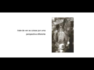 trate de ver as coisas por uma  perspectiva diferente   