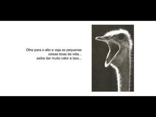 Olhe para o alto e veja  as pequenas coisas boas da vida... saiba dar muito valor a isso ... 