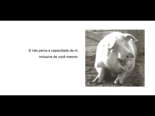 E não perca a capacidade de rir, inclusive de você mesmo  