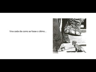 Viva cada dia como se fosse o último...  