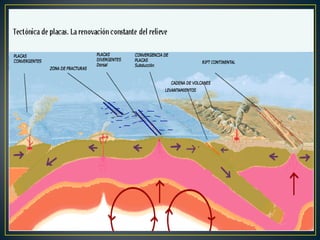 Diastrofismo. movimientos orogénicos y epirogénicos