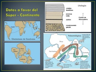 Glaciaciones de Gondwana
Litología
Paleontológicos
 