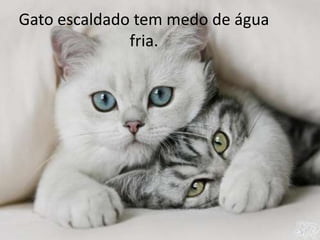 Gato escaldado tem medo de água
fria.

 