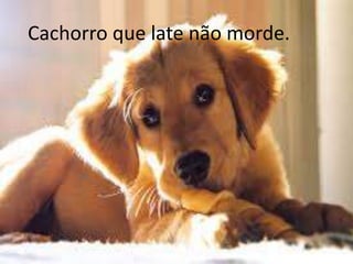 Cachorro que late não morde.

 