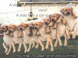 A vida é um barato, o povo é que acha
caro!
A vida tem a cor que tu pintas.

 