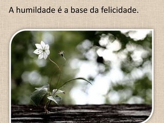 A humildade é a base da felicidade.

 