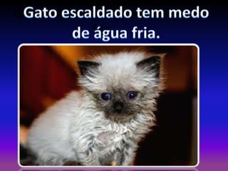 Gato escaldado tem medo de água
fria.

 
