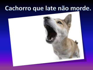 Cachorro que late não morde.

 