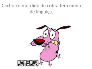 Cachorro mordido de cobra tem medo
de linguiça.

 