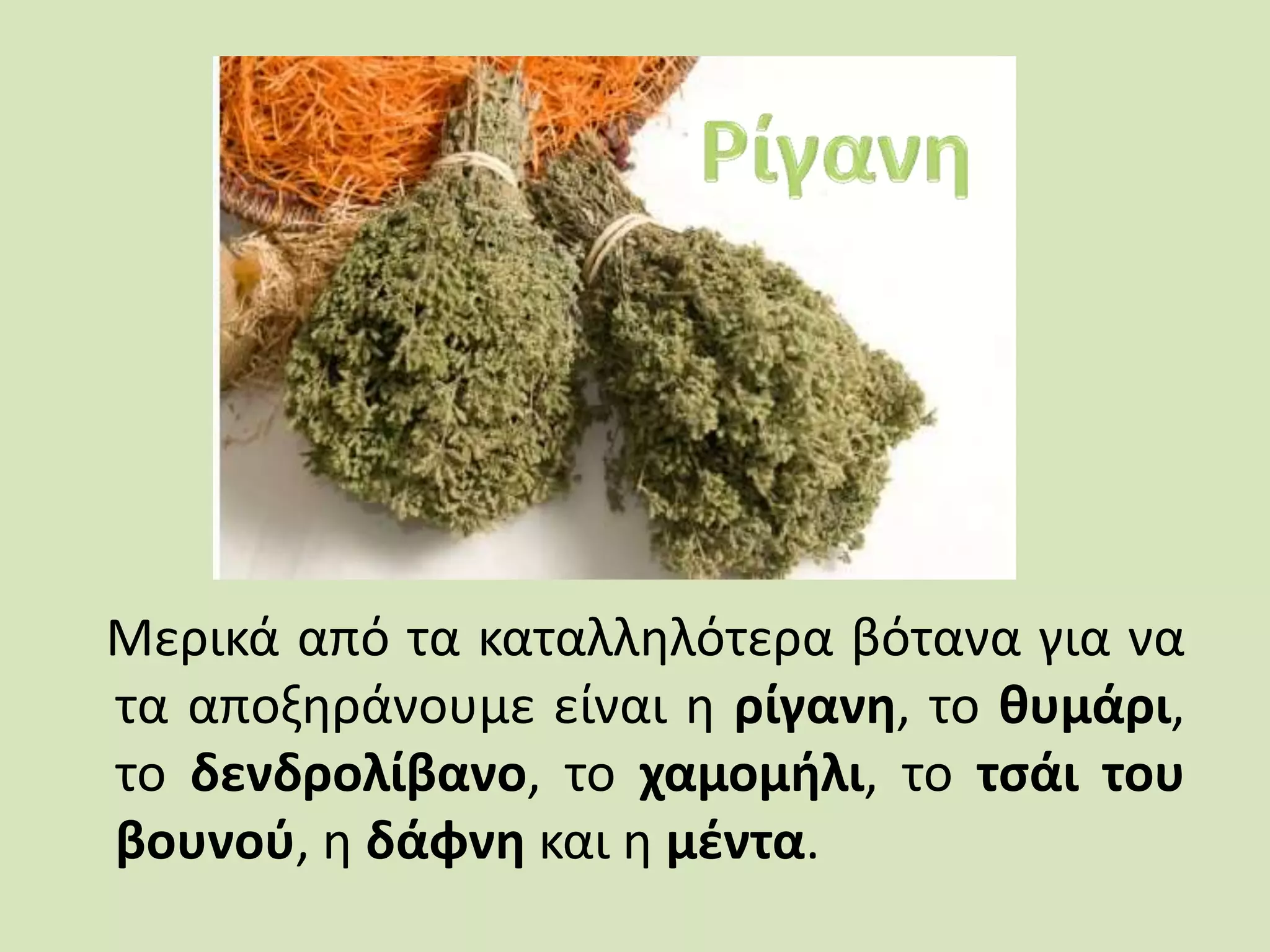 Μερικά από τα καταλληλότερα βότανα για να
τα αποξηράνουμε είναι η ρίγανη, το θυμάρι,
το δενδρολίβανο, το χαμομήλι, το τσάι του
βουνού, η δάφνη και η μέντα.
 