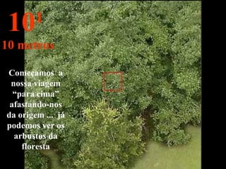 Começamos a
nossa viagem
“para cima”
afastando-nos
da origem ... já
podemos ver os
arbustos da
floresta
101
10 metros
 