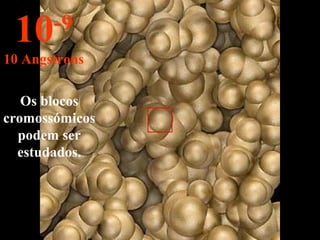Os blocos
cromossómicos
podem ser
estudados.
10-9
10 Angstrons
 