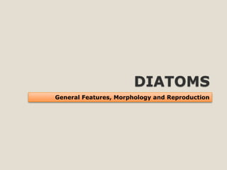 DIATOMS 
General Features, Morphology and Reproduction  