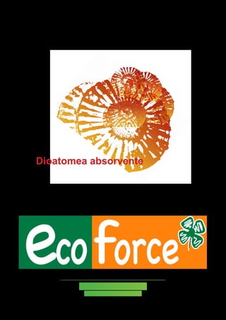 Dioatomea absorvente

La diatomea al servicio
del medio ambiente

 