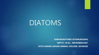 DIATOMS
SUBHANANTHINI JEYAMURUGAN,
18PY17, M.SC., MICROBIOLOGY.
AYYA NADAR JANAKI AMMAL COLLEGE, SIVAKASI.
 