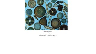 Diatoms
-by Prof. Shristi Aich
 
