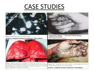 CASE STUDIES
 