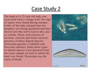 Case Study 2
The body of a 23 year old lady was
recovered from a village well. No sign
of injury were found during autopsy.
Father of the lady claimed that her
daughter was being murdered and then
thrown into the well to prove the case
as suicide. Nitric acid extracts of
sternum, clavicle and femur showed
presence of three diatom species
(Nitzschia gracilis, Cymbella and
Navicula radiosa). Same three types
of diatom species were detected from
the water sample of well in which the
body was found. Drowning was the
cause of death.
 