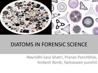DIATOMS IN FORENSIC SCIENCE
-Navnidhi kaur khatri, Pranav Panchbhai,
Anikesh Banik, Yashaswee purohit
 