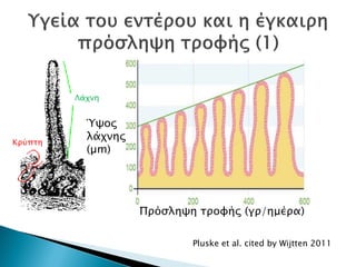 Πρόσληψη τροφής (γρ/ημέρα)
Pluske et al. cited by Wijtten 2011
Ύψος
λάχνης
(µm)
Κρύπτη
Λάχνη
Δρ. Βασίλης Συμεού
 