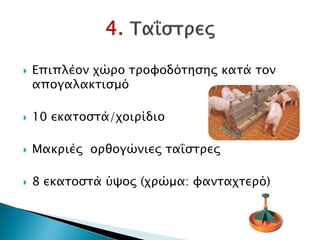  Επιπλέον χώρο τροφοδότησης κατά τον
απογαλακτισμό
 10 εκατοστά/χοιρίδιο
 Μακριές ορθογώνιες ταΐστρες
 8 εκατοστά ύψος (χρώμα: φανταχτερό)
Δρ. Βασίλης Συμεού
 