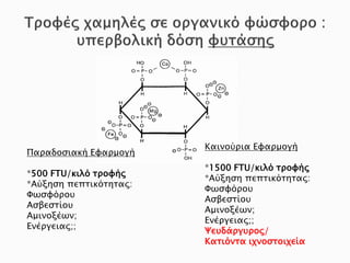 Παραδοσιακή Εφαρμογή
*500 FTU/κιλό τροφής
*Αύξηση πεπτικότητας:
Φωσφόρου
Ασβεστίου
Αμινοξέων;
Ενέργειας;;
Καινούρια Εφαρμογή
*1500 FTU/κιλό τροφής
*Αύξηση πεπτικότητας:
Φωσφόρου
Ασβεστίου
Αμινοξέων;
Ενέργειας;;
Ψευδάργυρος/
Κατιόντα ιχνοστοιχεία
Δρ. Βασίλης Συμεού
 
