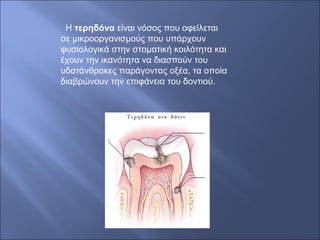 Η τερηδόνα είναι νόσος που οφείλεται
σε μικροοργανισμούς που υπάρχουν
φυσιολογικά στην στοματική κοιλότητα και
έχουν την ικανότητα να διασπούν του
υδατάνθρακες παράγοντας οξέα, τα οποία
διαβρώνουν την επιφάνεια του δοντιού.
 