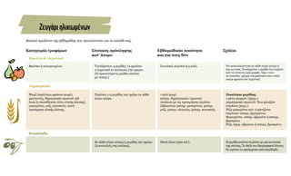 Κατηγορία τροφίμων
Φρέσκα ή κατεψυγμένα.
Φρούτα & λαχανικά
Δημητριακά
Ελαιόλαδο
Ψωμί (καλύτερα φρέσκο ψωμί),
φρυγανιές, δημητριακά πρωινού (all
bran ή οποιοδήποτε άλλο ολικής άλεσης),
μακαρόνια, ρύζι, κουσκούς: κατά
προτίμηση ολικής άλεσης.
Σύσταση πρόσληψης
κατ' άτομο
Τουλάχιστον 4 μερίδες (2 φρούτα-
2 λαχανικά το λιγότερο) την ημέρα.
(Η προτεινόμενη μερίδα ισούται
με 100γρ.)
Περίπου 1-2 μερίδες την ημέρα σε κάθε
κύριο γεύμα.
Σε κάθε κύριο γεύμα/3 μερίδες την ημέρα
(3 κουταλιές της σούπας).
Σχόλια
Να καταναλώνονται σε κάθε κύριο γεύμα ή
και ως σνακ. Τουλάχιστον 1 μερίδα των λαχανι-
κών να είναι σε ωμή μορφή. Λέμε «ναι»
σε ποικιλία- χρώμα-εποχικότητα όταν επιλέ-
γουμε φρούτα και λαχανικά.
Ποσότητα μερίδας:
1 φέτα ψωμιού: (35γρ.).
Δημητριακά πρωινού: Ένα φλιτζάνι
(περίπου 30γρ.).
Ρύζι-μακαρόνια κτλ: 2 φλιτζάνια
(περίπιου 200γρ. βρασμένα).
Μακαρόνια: 100γρ. άβραστα ή 200γρ.
βρασμένα.
Ρύζι: 65γρ. άβραστο ή 200γρ. βρασμένο.
Η μερίδα ισούται περίπου με μια κουταλιά
της σούπας. Το 80% του διατροφικού λίπους
θα πρέπει να προέρχεται από ελαιόλαδο.
Βασικά προϊόντα της εβδομάδας που προτείνονται για το καλάθι σας.
Ζευγάριηλικιωμένων
Εβδομαδιαία ποσότητα
και για τους δύο
Συνολικά περίπου 6,5 κιλά.
1 κιλό ψωμί.
500γρ. δημητριακών πρωινού.
Ανάλογα με τις προτιμήσεις περίπου
(άβραστα): 500γρ. μακαρόνια, 500γρ.
ρύζι, 500γρ. πλιγούρι, 500γρ. κουσκούς.
Μισό λίτρο (500 ml.).
 