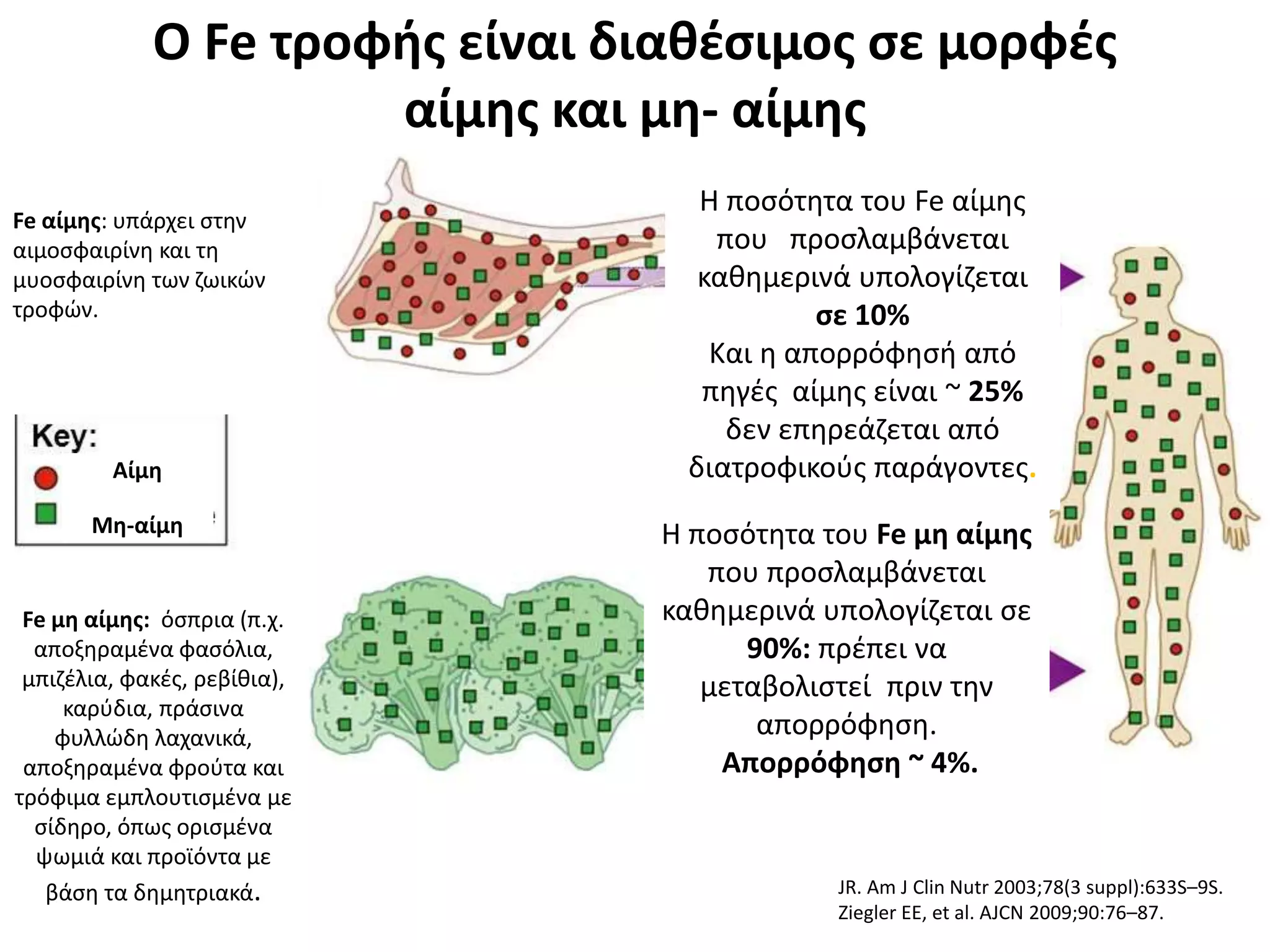 Fe αίμης: υπάρχει στην
αιμοσφαιρίνη και τη
μυοσφαιρίνη των ζωικών
τροφών.
Ο Fe τροφής είναι διαθέσιμος σε μορφές
αίμης και μη- αίμης
Fe μη αίμης: όσπρια (π.χ.
αποξηραμένα φασόλια,
μπιζέλια, φακές, ρεβίθια),
καρύδια, πράσινα
φυλλώδη λαχανικά,
αποξηραμένα φρούτα και
τρόφιμα εμπλουτισμένα με
σίδηρο, όπως ορισμένα
ψωμιά και προϊόντα με
βάση τα δημητριακά.
Αίμη
Μη-αίμη
Η ποσότητα του Fe αίμης
που προσλαμβάνεται
καθημερινά υπολογίζεται
σε 10%
Και η απορρόφησή από
πηγές αίμης είναι ~ 25%
δεν επηρεάζεται από
διατροφικούς παράγοντες.
Η ποσότητα του Fe μη αίμης
που προσλαμβάνεται
καθημερινά υπολογίζεται σε
90%: πρέπει να
μεταβολιστεί πριν την
απορρόφηση.
Απορρόφηση ~ 4%.
JR. Am J Clin Nutr 2003;78(3 suppl):633S–9S.
Ziegler EE, et al. AJCN 2009;90:76–87.
 