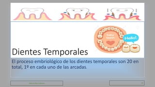 Dientes Temporales
El proceso embriológico de los dientes temporales son 20 en
total, 1º en cada uno de las arcadas.
Valeria Díaz Cabrera 10
 