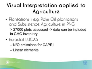 Diaz Collect Earth remote sensing activity data Nov 10 2014